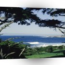 Beach Pebble A1 XLarge Canvas