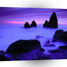 Beach Rodeo Marin A1 XLarge Canvas