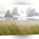 Beach Seastacks Fog Bandon A1 XLarge Canvas