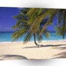Beach Seven Mile Grand Cayman A1 XLarge Canvas