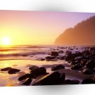 Beach South Cape Lookout A1 XLarge Canvas