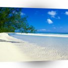 Beach Taino Beach Bahamas A1 XLarge Canvas