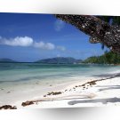 Beach Tree Paradise A1 XLarge Canvas
