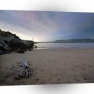 Beach Ventura Driftwood A1 XLarge Canvas