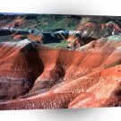 Canyon Painted Desert A1 XLarge Canvas