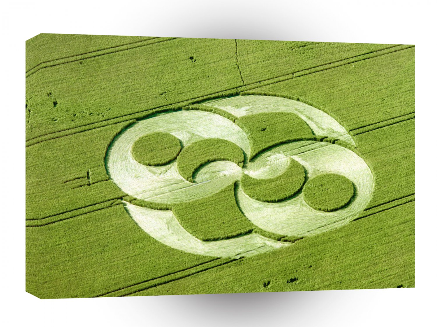 Crop Circle Julia Set Liddington Castle 1996 A1 XLarge Canvas