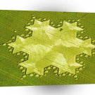 Crop Circle Koch Snowflake Silbury Hill 1997 A1 XLarge Canvas