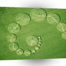 Crop Circle Seventeen Moons Wiltshire A1 XLarge Canvas