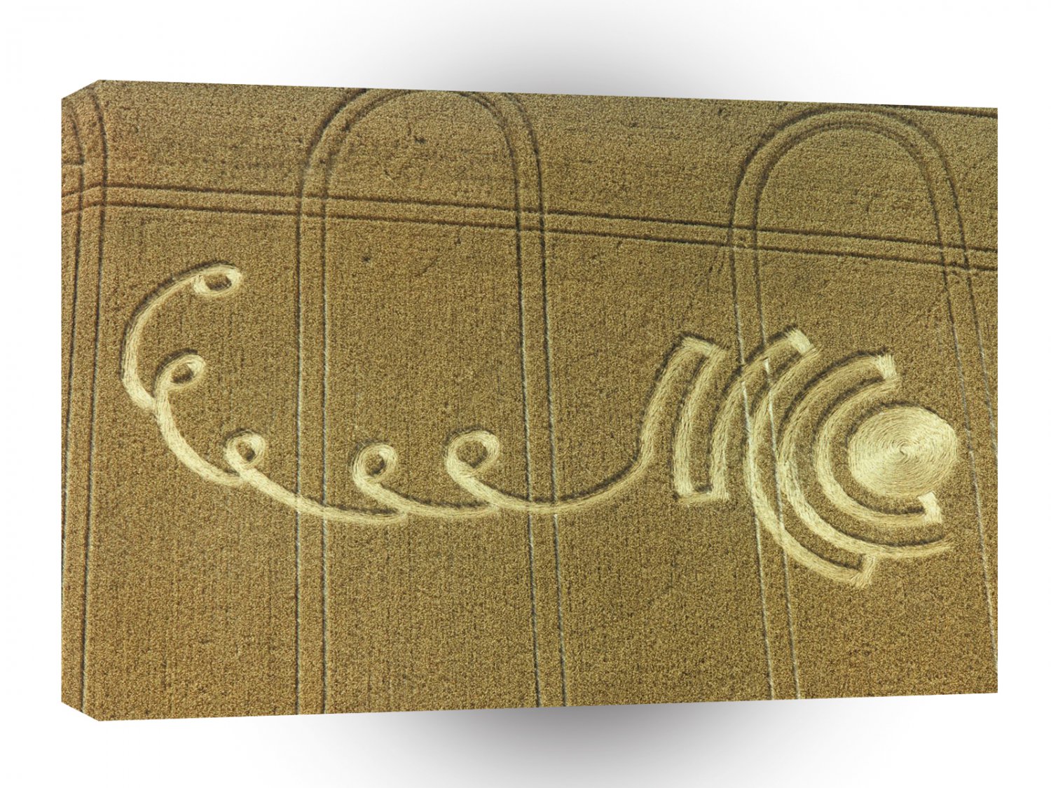 Crop Circle Winterbourne Stoke 1995 A1 XLarge Canvas