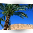 Deserts Cable Cars Masada Israel A1 XLarge Canvas