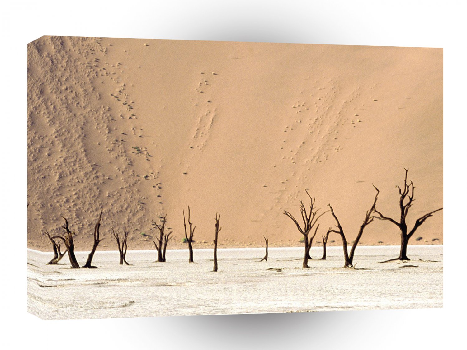 Deserts Dead Ulei Namib Namibia Africa A1 XLarge Canvas