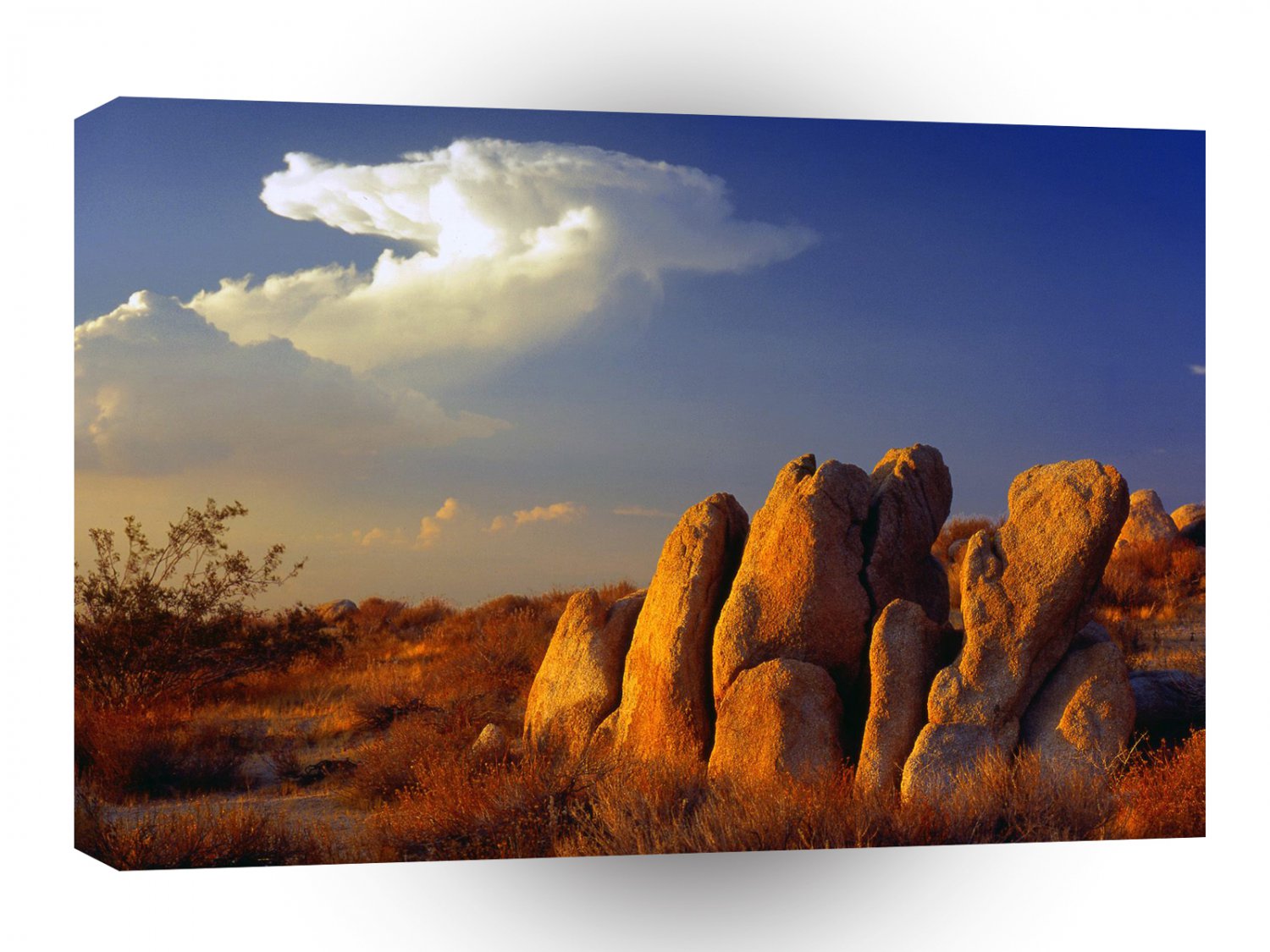 Deserts Distant Thunder Mojave A1 XLarge Canvas