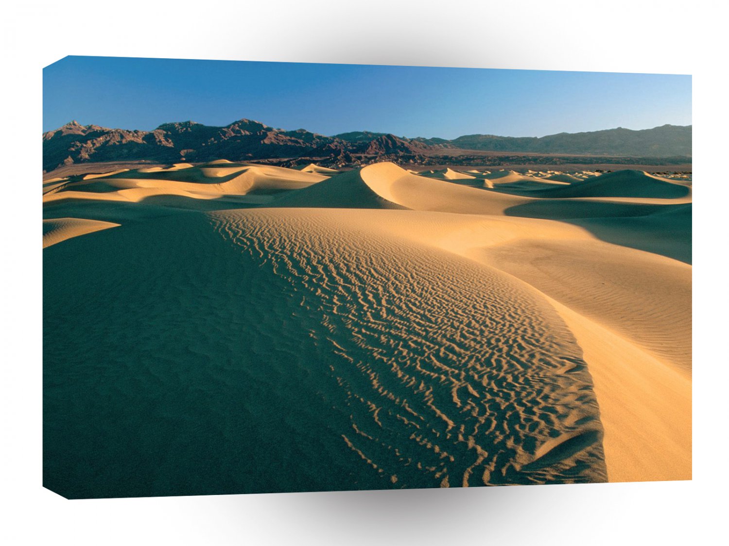 Deserts Mesquite Flat Sand Dunes Death Valley A1 XLarge Canvas