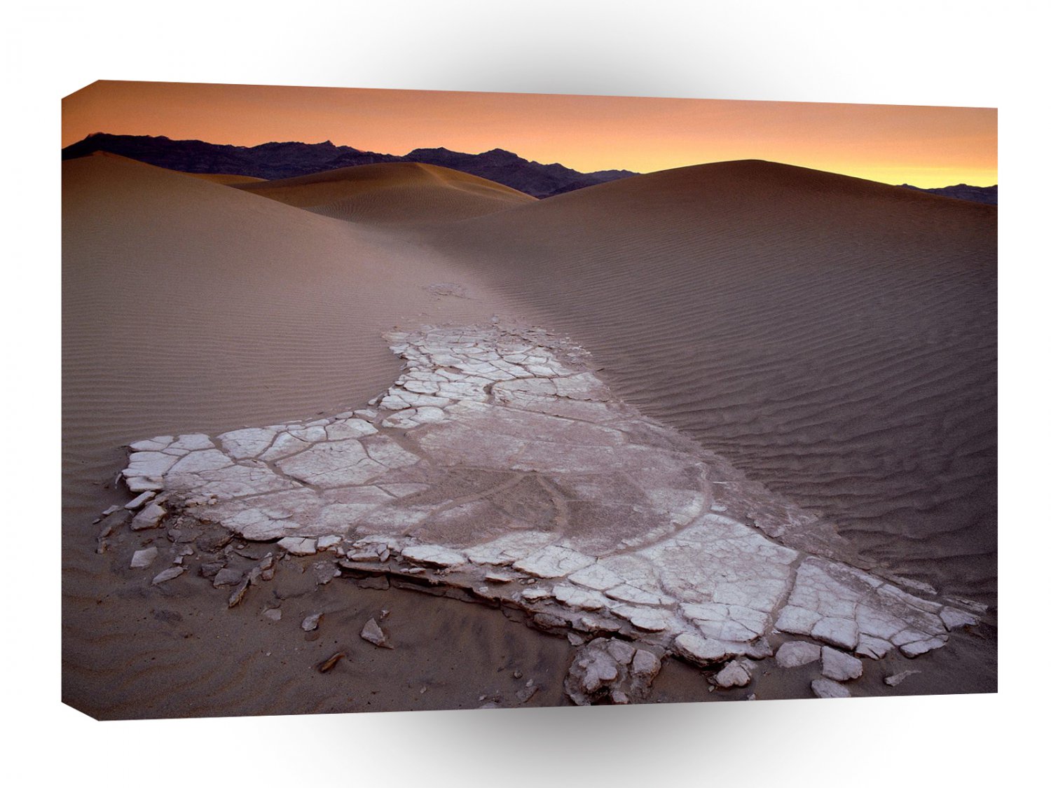 Deserts Mesquite Sand Dunes Dawn Death Valley A1 XLarge Canvas