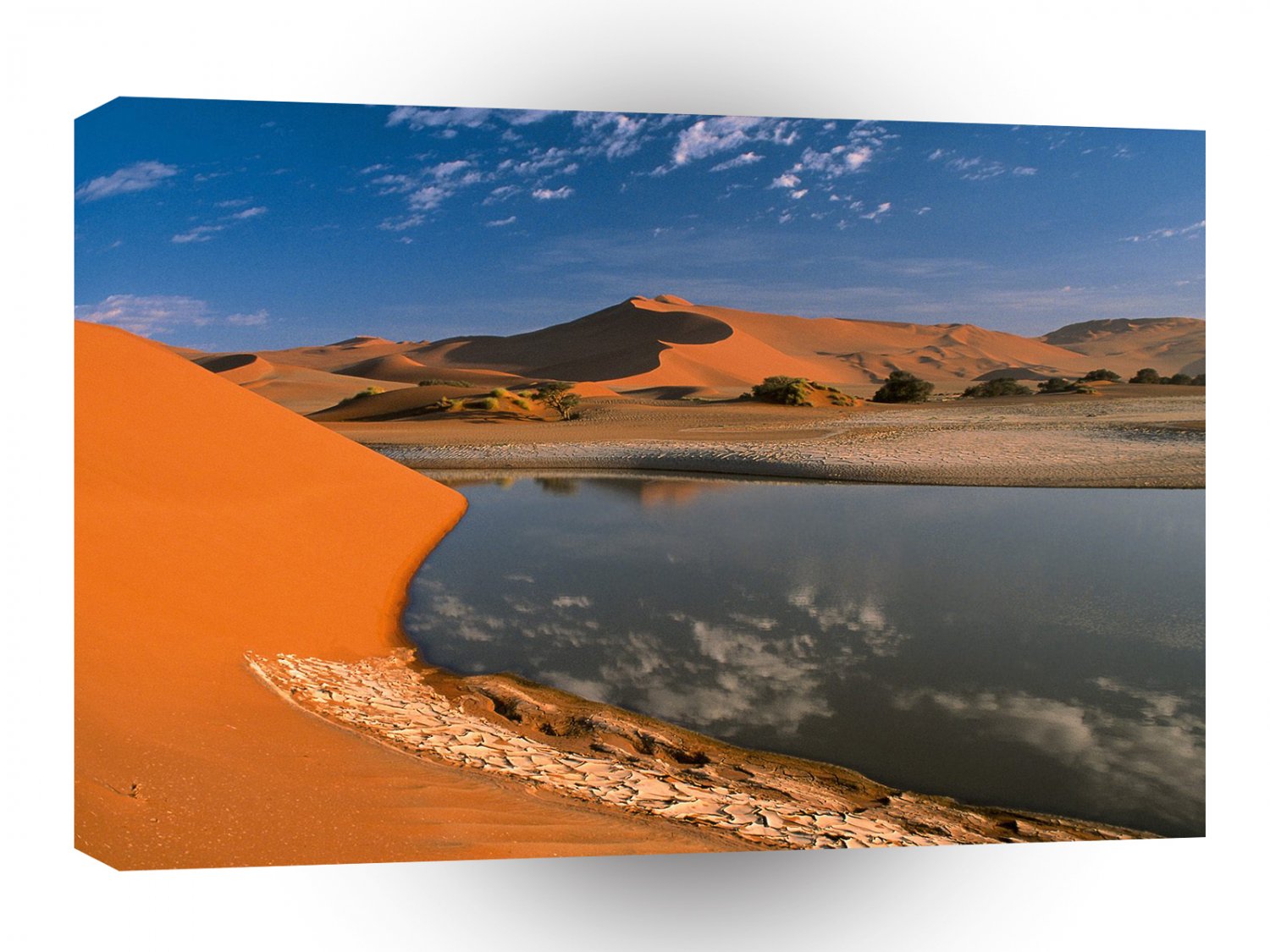 Deserts Oasis A1 XLarge Canvas