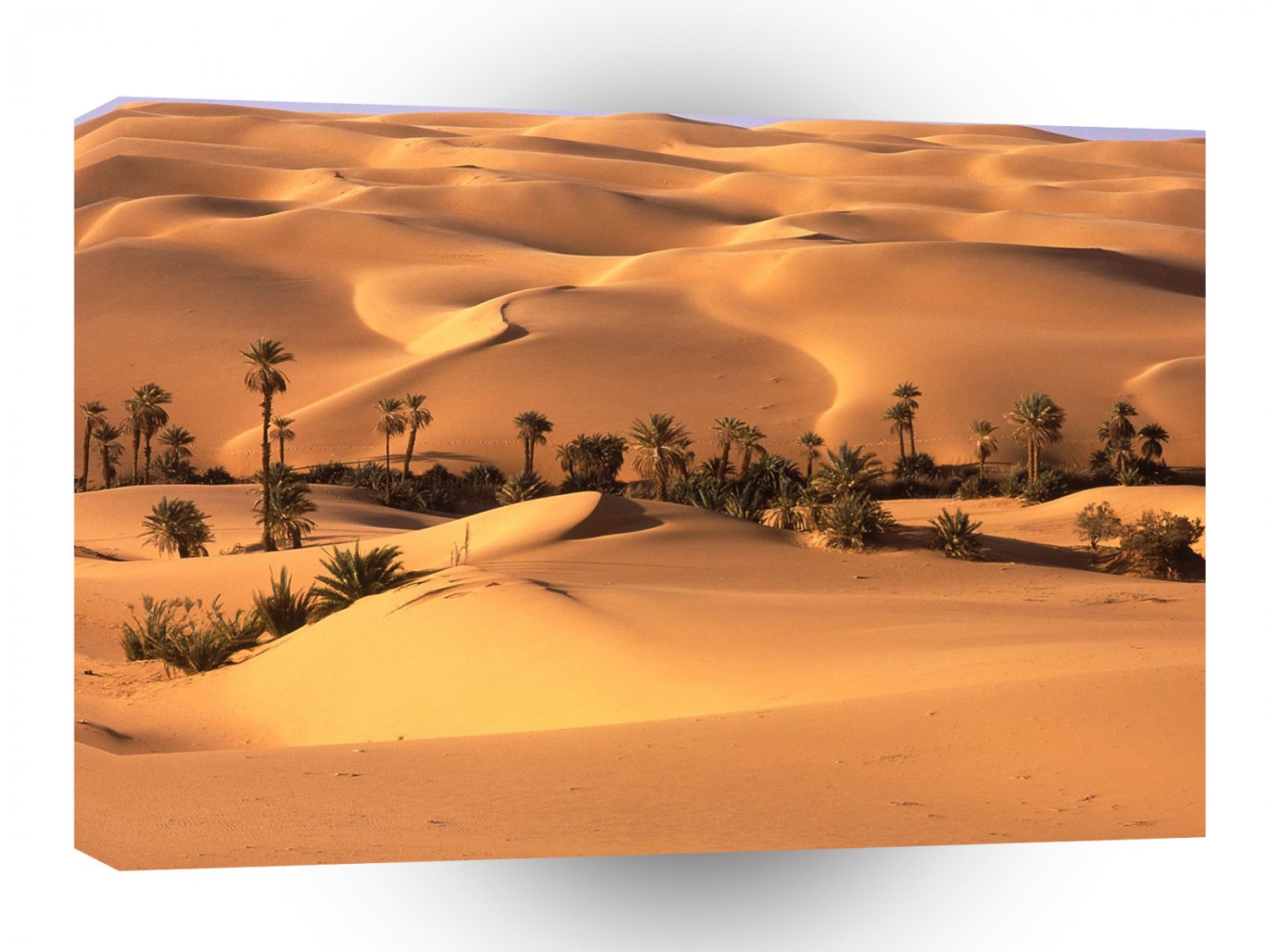 Deserts Oasis Libya A1 XLarge Canvas