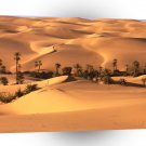 Deserts Oasis Libya A1 XLarge Canvas