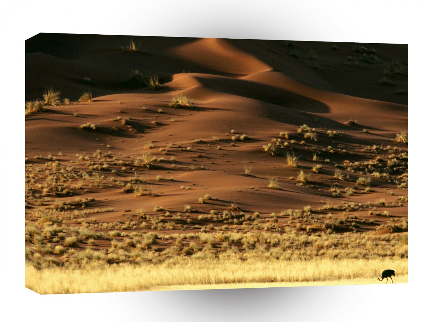 Deserts Rising Sands Namib Namibia Africa A1 XLarge Canvas