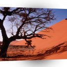 Deserts Sand Dunes Central Africa A1 XLarge Canvas
