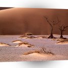 Deserts Sandscape Namib Africa A1 XLarge Canvas