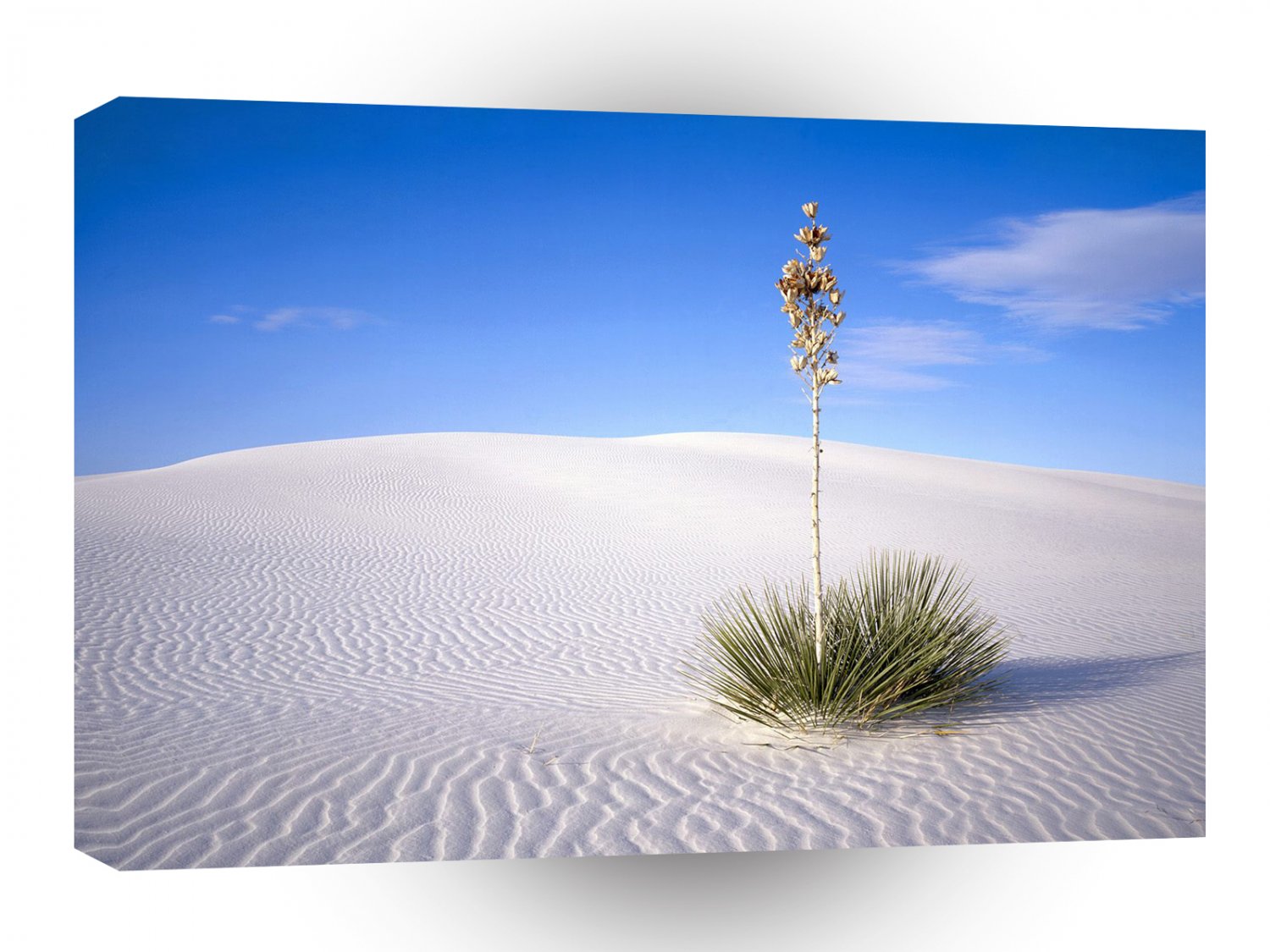 Deserts Small Oasis A1 XLarge Canvas