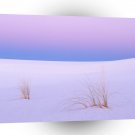 Deserts Tranquility White Sands New Mexico A1 XLarge Canvas