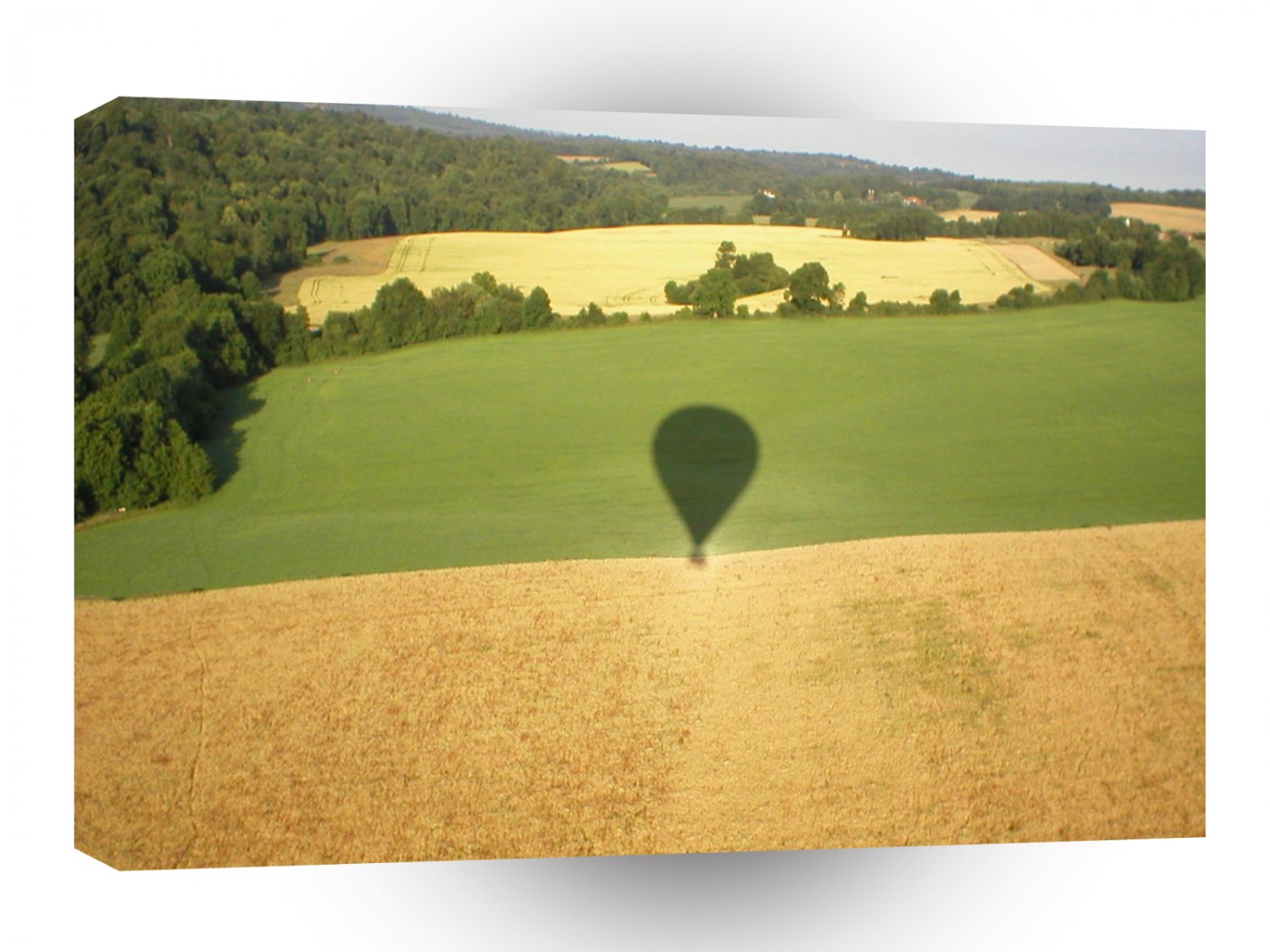 Fields Balloon Flight A1 XLarge Canvas
