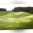Fields Green Gorws A1 XLarge Canvas