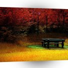 Forest Autumn Picnic A1 XLarge Canvas
