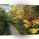 Forest Autumn Roadway Smoky Mountains Tennessee A1 XLarge Canvas