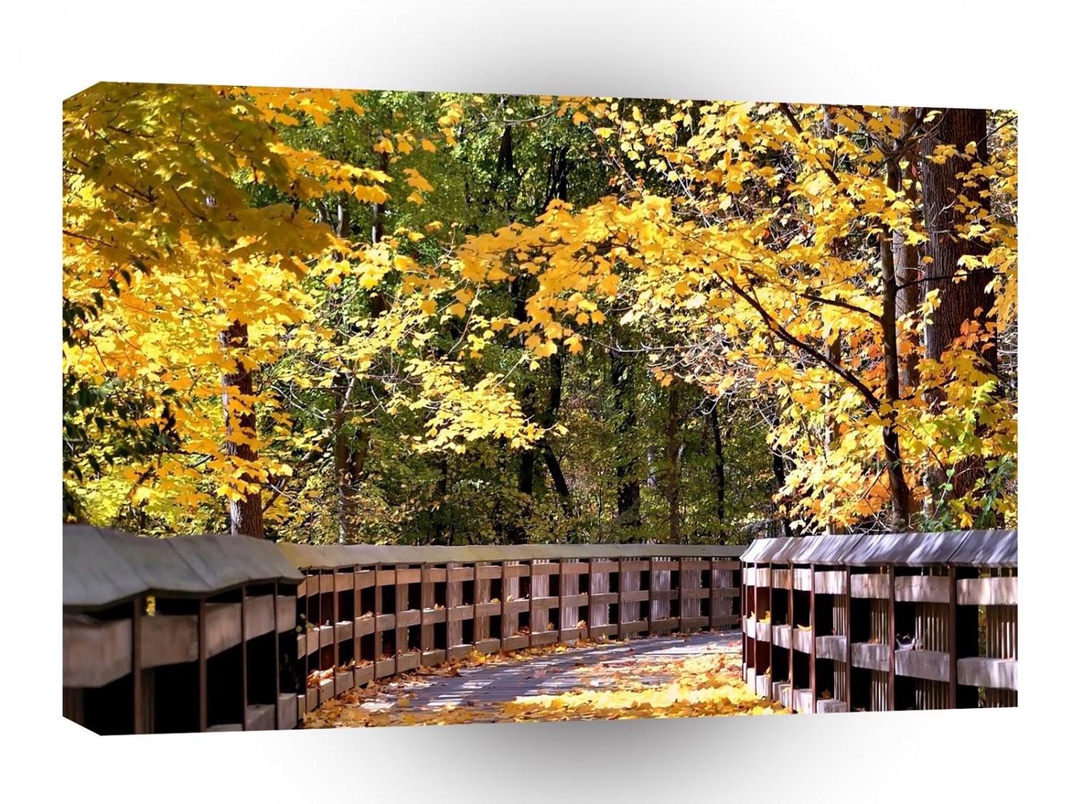 Forest Autumn Yellow Bridge A1 XLarge Canvas