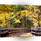 Forest Autumn Yellow Bridge A1 XLarge Canvas