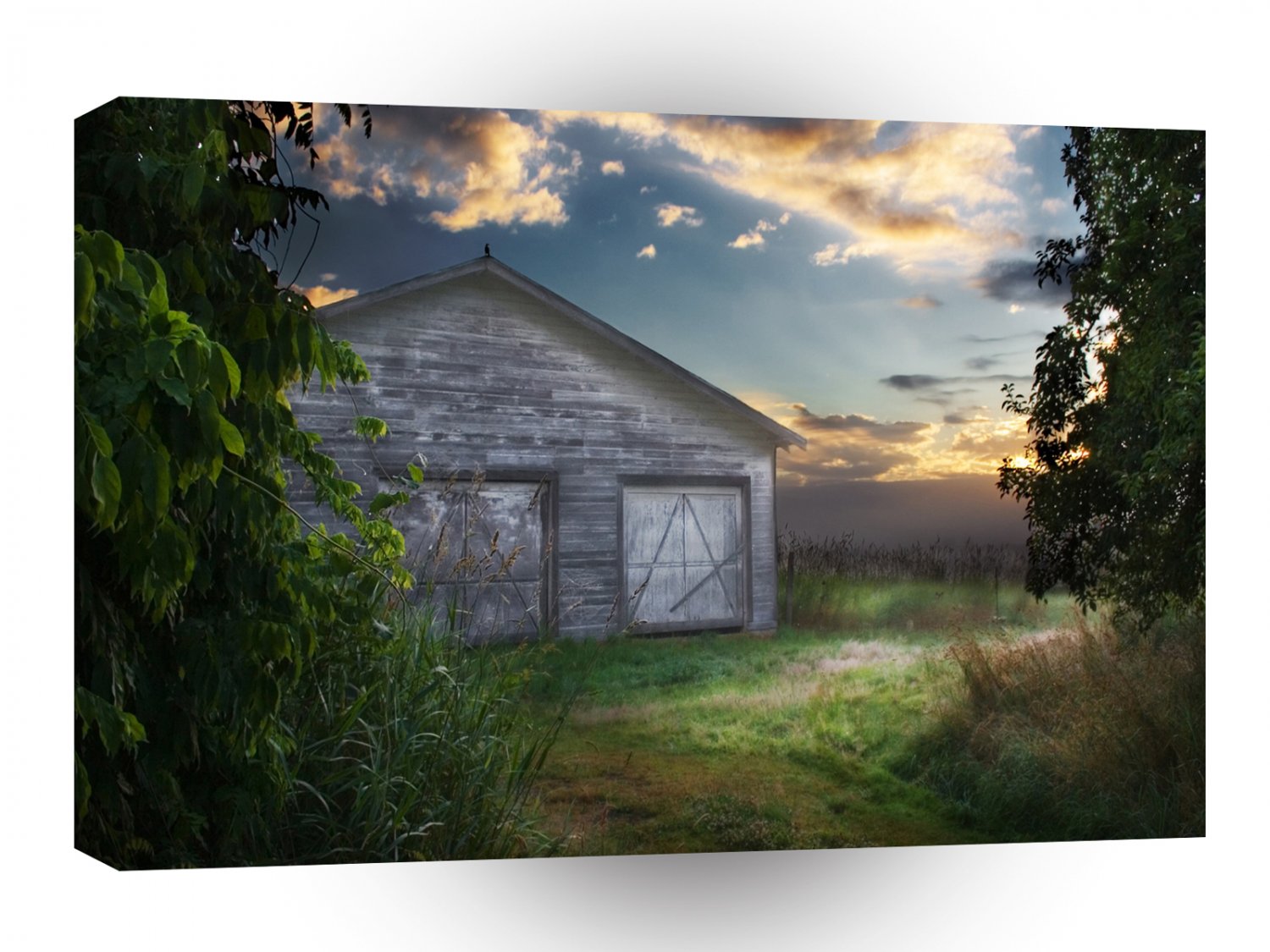 Forest Beautiful Barn A1 XLarge Canvas