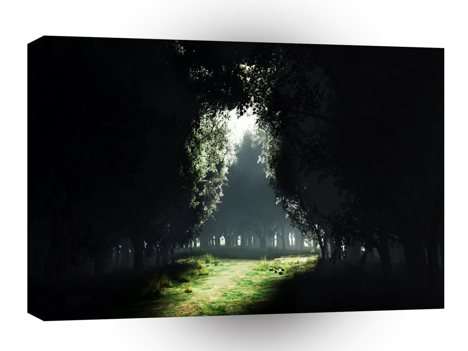 Forest Darkness To Light A1 XLarge Canvas