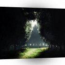 Forest Darkness To Light A1 XLarge Canvas