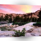 Forest Desolation Wilderness Eldorado A1 XLarge Canvas