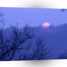 Forest Full Moon Setting Percy Warner Park Tennessee A1 XLarge Canvas