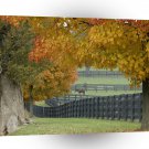 Forest Horsefarm Countryside A1 XLarge Canvas