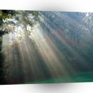 Forest Into Clearing Hunting Valley Ohio A1 XLarge Canvas