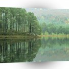 Forest Loch An Eilein Scotland A1 XLarge Canvas