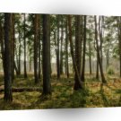 Forest Lonely Woods A1 XLarge Canvas