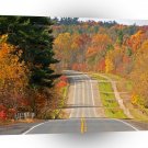 Forest Long Road A1 XLarge Canvas