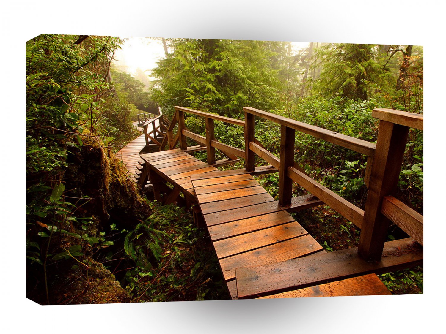 Forest Mayne Walkway A1 XLarge Canvas