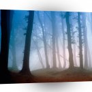 Forest Morning Light A1 XLarge Canvas