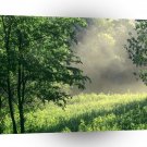 Forest Morning Meadow Park A1 XLarge Canvas