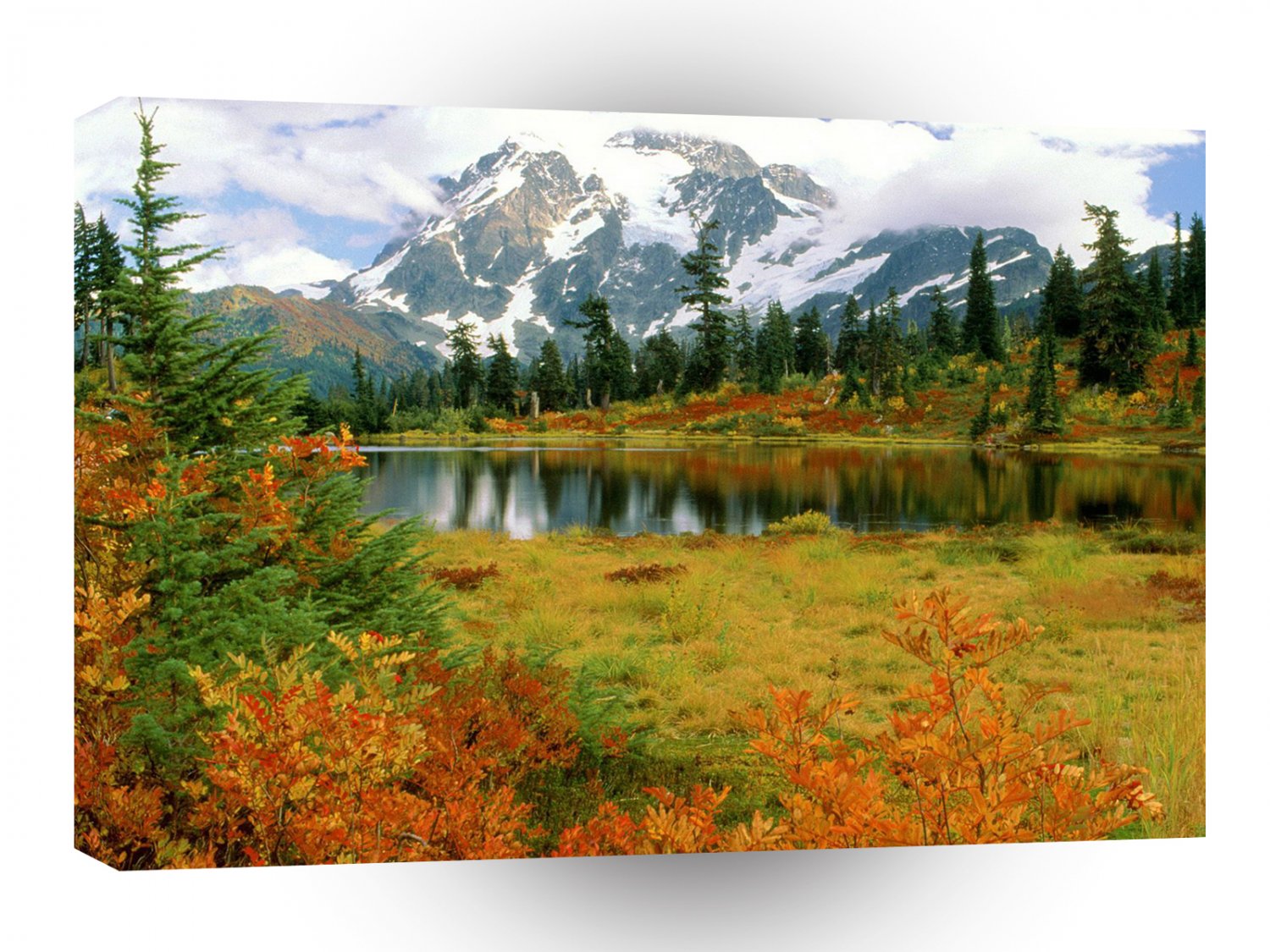 Forest Mount Shuksan Landscape A1 XLarge Canvas