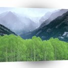Forest Mountain Mist Alberta Canada A1 XLarge Canvas