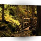 Forest Mystery Bridge A1 XLarge Canvas