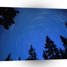 Forest Night Moves Idaho A1 XLarge Canvas