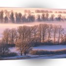 Forest On Misty Morning A1 XLarge Canvas